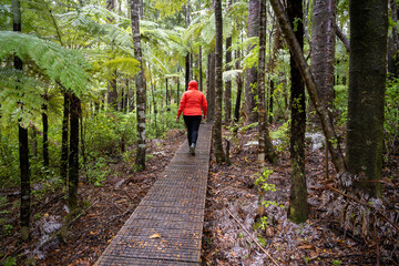 woman walking in forest