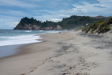 beach in the morning, morning walk on beach in Hahei, New Zealand