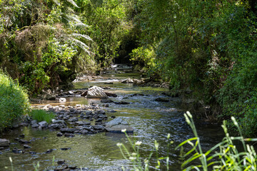River in Waitomo Cave in New Zealand