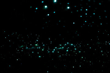 Glow Worms at Waitomo Caves, New Zealand