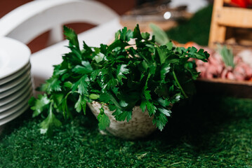 Fresh Parsley in Ceramic Bowl on Catering Table. Ceramic bowl filled with fresh parsley leaves,...