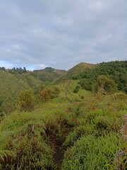Naklejka premium View of the small road at the top of the mountain with views of green trees and plants. View of plants and trees on the mountain taken from the top of the mountain. A small dirt road that is on a high