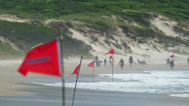 Red no swim flags on the beach in Brazil