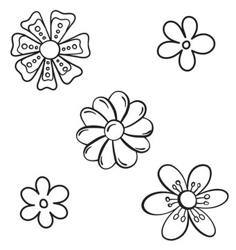 set of b&w abstract vector flower illustrations line art