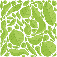 Tropical green leaves pattern. Background doodle. Editable outline stroke. Vector illustration.