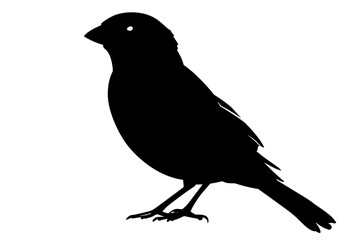 Black Silhouette of a bird.