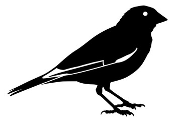 Black Silhouette of a bird.