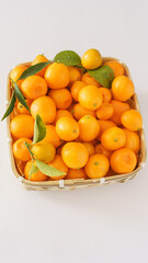 金柑(キンカン)