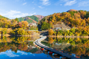 日本の風景・秋　東京都奥多摩町　奥多摩湖の紅葉