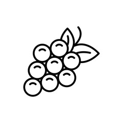 Grape outline icons, minimalist vector illustration ,simple transparent graphic element .Isolated on white background