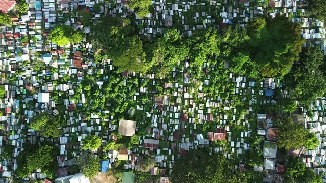 Puerto Princesa cemetery top-down aerial with trees and crypts