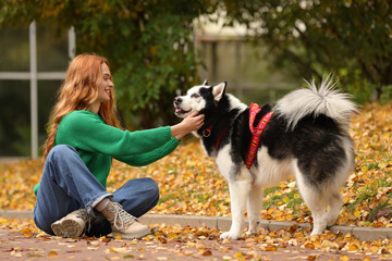 Naklejka na ściany i meble Happy woman with cute Siberian Husky in autumn park