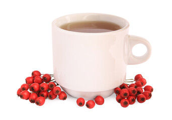 Aromatic hawthorn tea in cup and berries isolated on white
