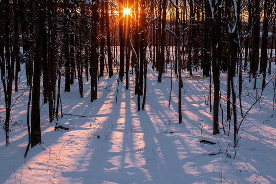 Sunset In Winter
-January Berkshires, Massachusetts 