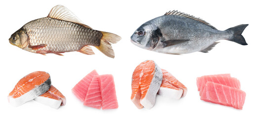 Different types of raw fish isolated on white, set
