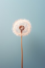 A single dandelion seed against a muted color background  AI generated illustration