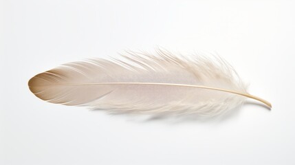 A single floating feather against a plain white background  AI generated illustration
