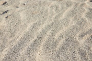 Natural Sand Patterns on Bahamas Beach Close-Up
