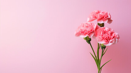 ピンクのカーネーションの花、余白のある母の日の背景