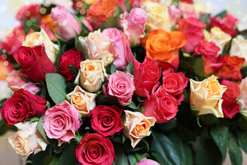 Bouquet of beautiful roses on light background
