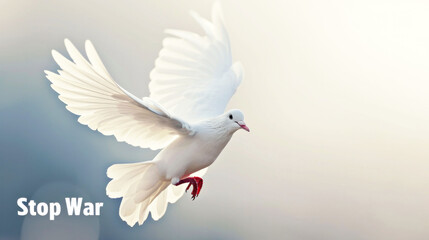 A dove in flight against a soft background with the words 'Stop War', symbolizing the universal quest for peace and freedom. - obrazy, fototapety, plakaty