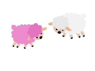 Sheep on a white background.