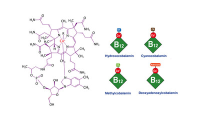 Vitamin B12 chemical forms