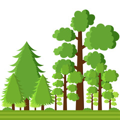 Tree Forest Vector