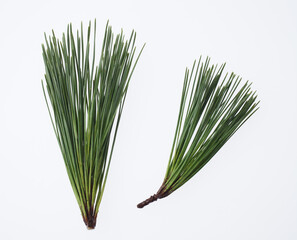 松葉　白バック