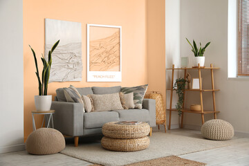 Stylish domestic interior with grey sofa near peach fuzz wall