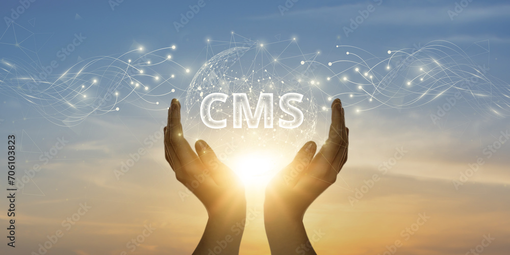 Poster cms - content management system concept for blog promotion, data administration, and website optimiz