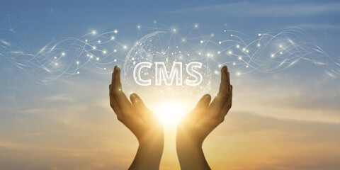CMS - Content Management System Concept for Blog Promotion, Data Administration, and Website Optimization in the SEO Network Technology Paradigm - obrazy, fototapety, plakaty