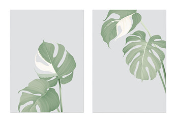Foliage poster template design, Monstera leaves on grey