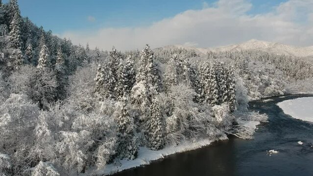 冬の広大な山と森林　空撮　青空　雪景色