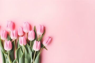 Beautiful Pink Tulips Blooming on Soft Background