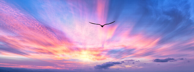 Bird Flying Sunset Beautiful Inspirational Divine Spiritual Motivational Freedom Hope Banner Image