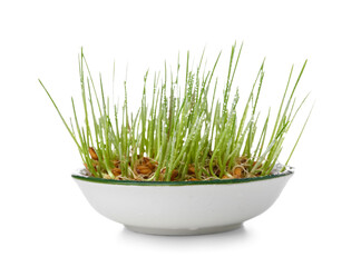 Bowl with fresh wheatgrass and water drops on white background