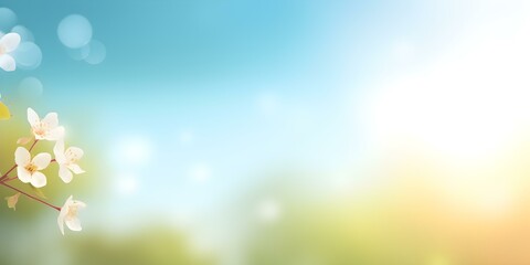 Obraz premium Spring Blossoms Blooming Under the Clear Blue Sky