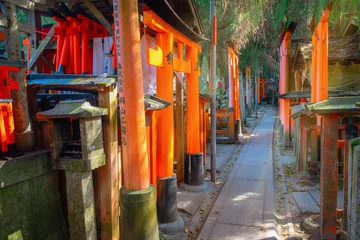 Fototapete Torii Tore Fushimi Inari-taisha in Kyoo, Japan, built in 1499, it's the icon of a path lined with thousands of torii gates  © coward_lion