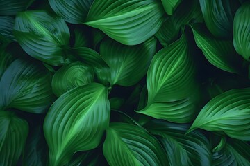 Lush Green Leaves, Nature’s Beauty Unleashed