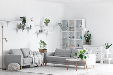 Interior of light living room with grey sofas, coffee table and houseplants