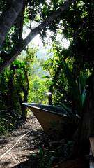 Old abandoned fishing boat nestled amongst trees in the rainforest with beautiful sunlight on a...