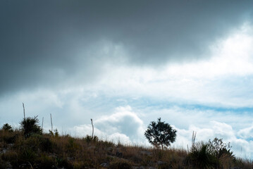 Paisaje. Cerro con un arbol y cielo nublado, avisando de la lluvia.