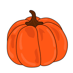 Ripe orange pumpkin, on a white background. Cucurbita pepo. Autumn harvest pumpkins. Healthy organic food concept. Vector vegetable illustration in flat style