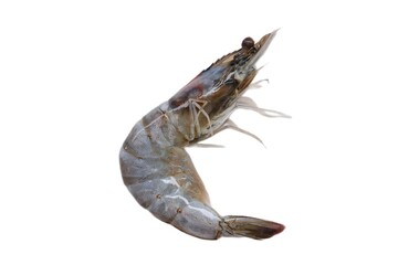 Fresh shrimp tails isolated. Raw headless prawn, pacific shrimp, uncooked tiger prawns, jumbo seafood on white plate on isolated background  - obrazy, fototapety, plakaty