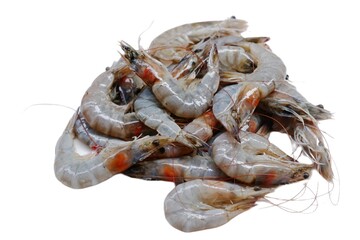 Fresh shrimp tails isolated. Raw headless prawn, pacific shrimp, uncooked tiger prawns, jumbo seafood on white plate on isolated background 