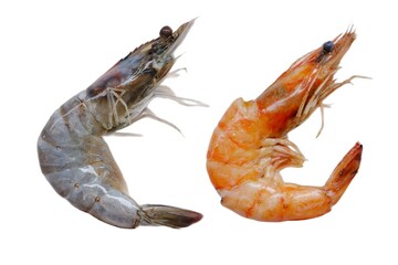 Fresh and boiled shrimp tails isolated. headless prawn, pacific shrimp,  tiger prawns, jumbo seafood on isolated background 