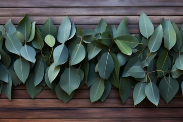 HD shot of eucalyptus leaves elegantly laid out on a weathered wooden background, creating a...