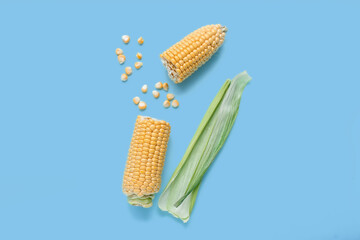 Fresh corn cobs and kernels on blue background
