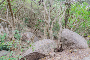 Rocky trail on Chamundi Hills, Mysore, India